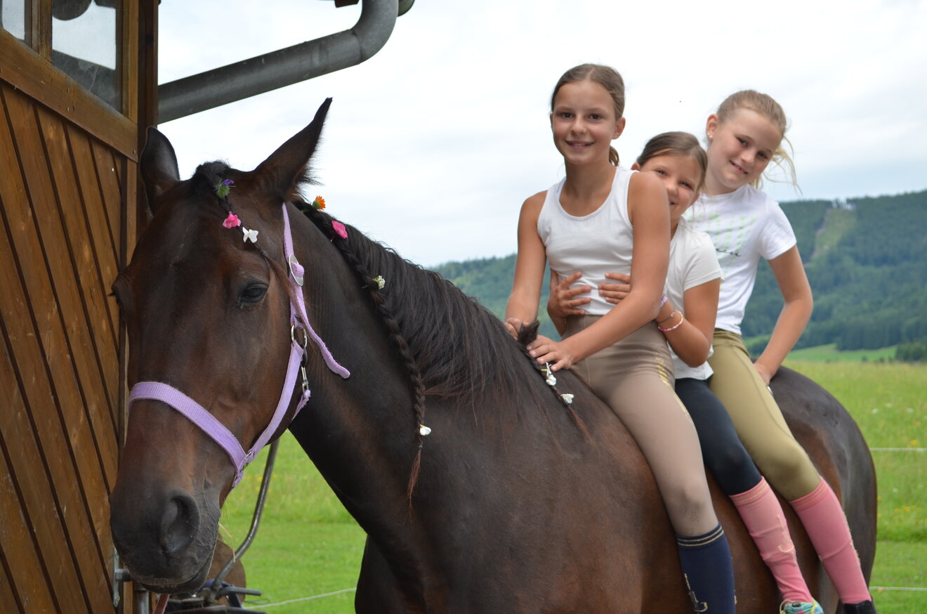 Reitpädagogik am Haus Hochegg