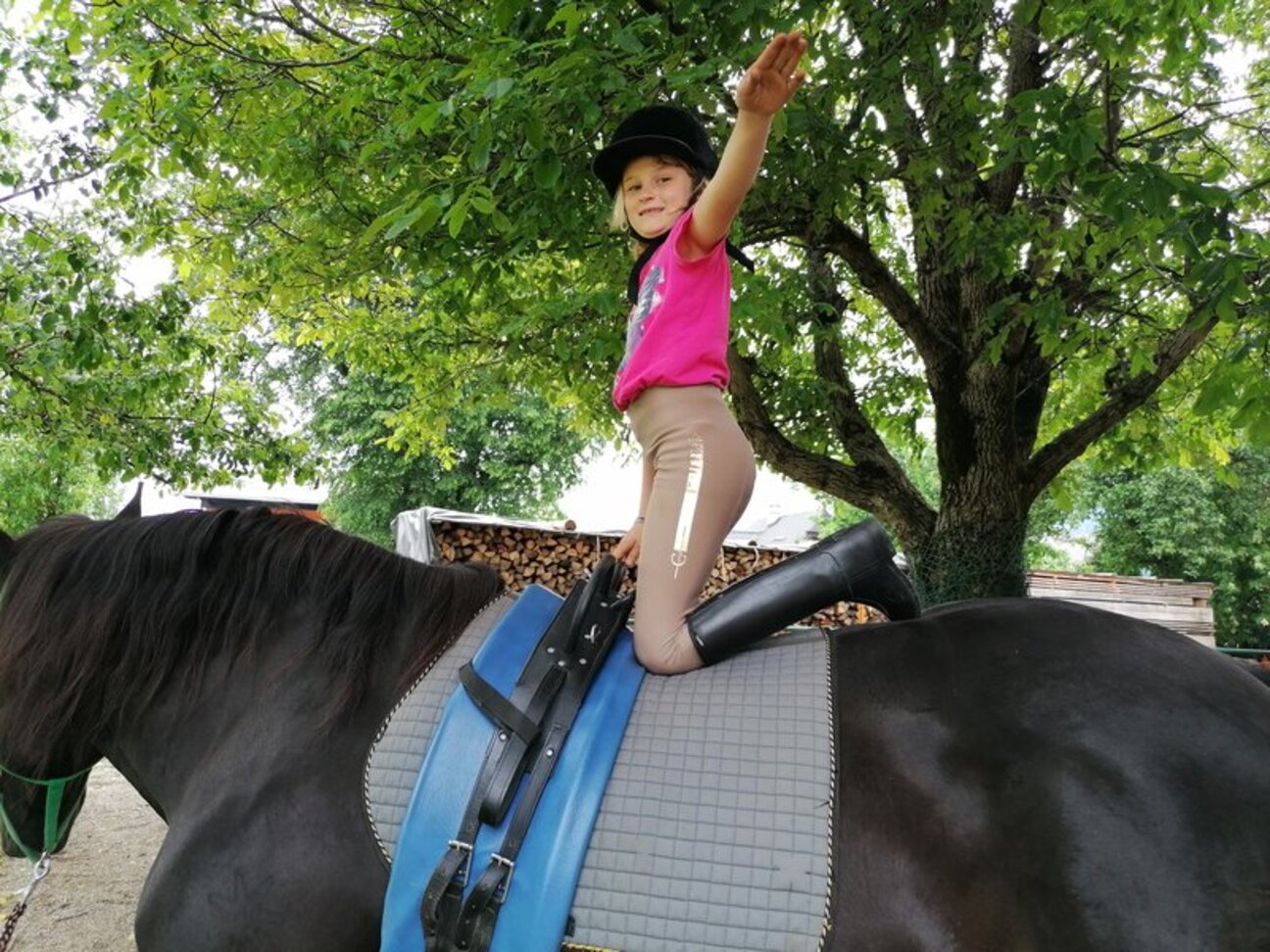 [Translate to Englisch (en):] Erlebnis Pferd am Haus Hochegg